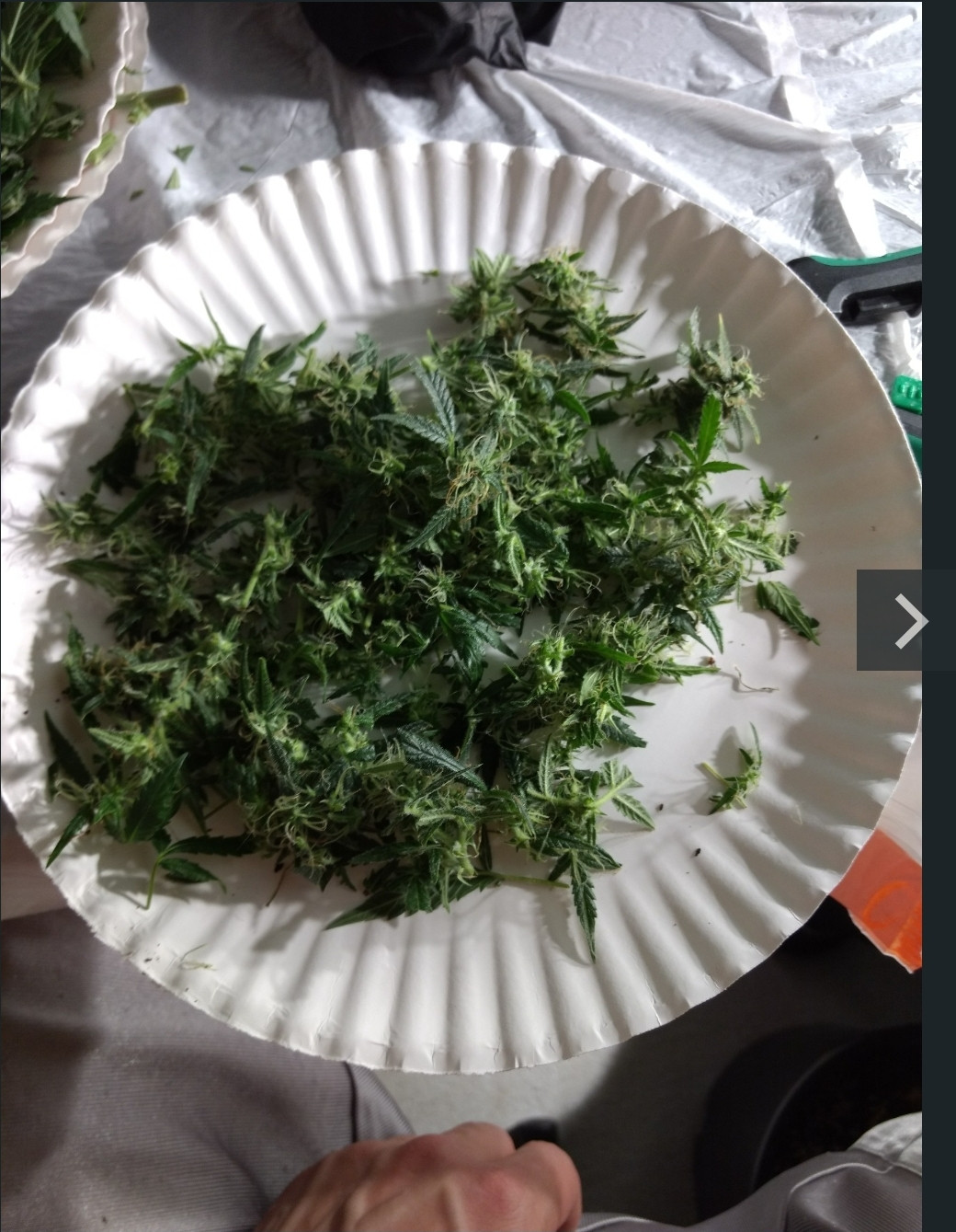 Click image for larger version  Name:	Screenshot_20200715-125653_Chrome.jpg Views:	88 Size:	561.0 KB ID:	428140