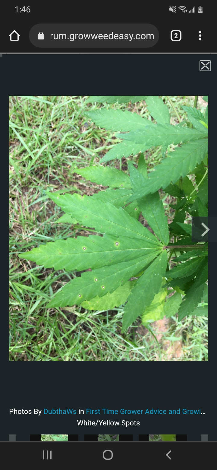 Screenshot_20220824-134608_Chrome.jpg