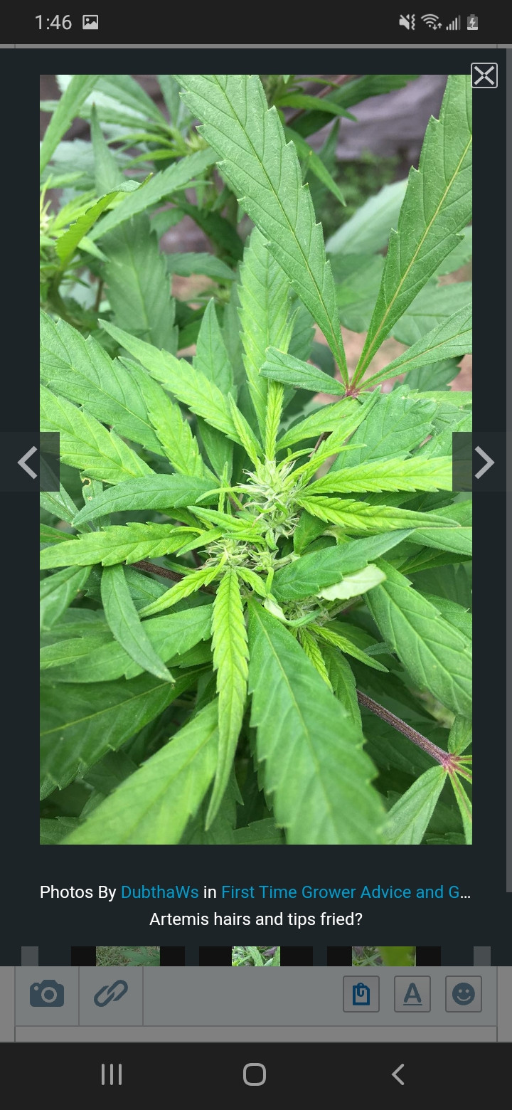 Screenshot_20220824-134618_Chrome.jpg