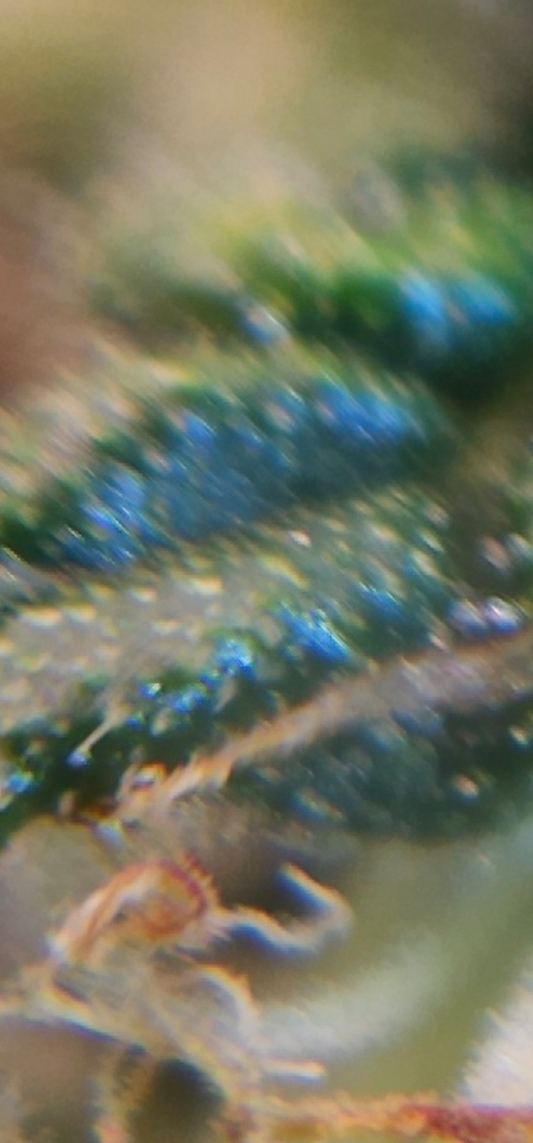 Screenshot_20230427_210050_Gallery.jpg