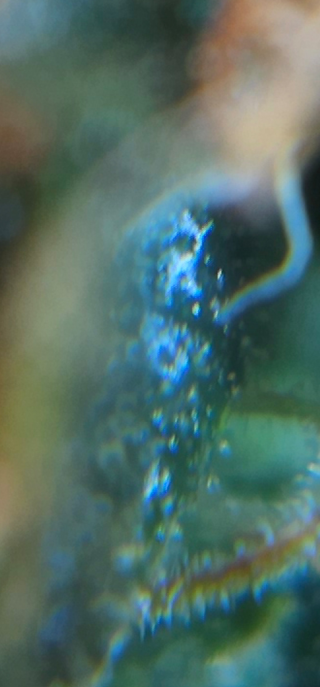 Screenshot_20230427_210138_Gallery.jpg