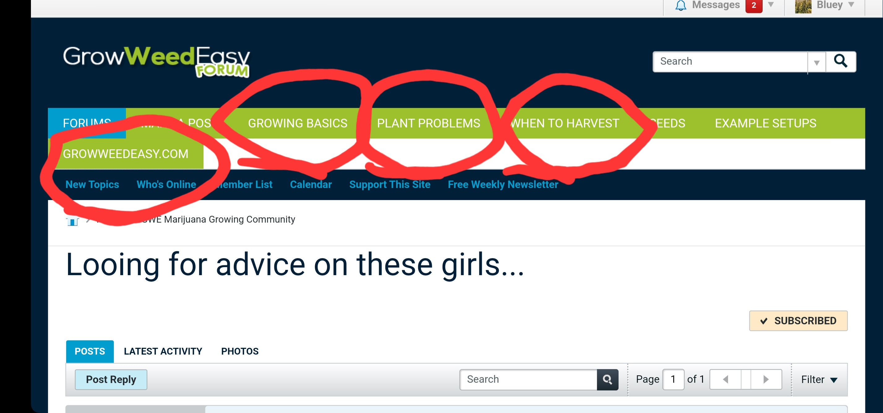 Screenshot_20250211_014611_Chrome.jpg