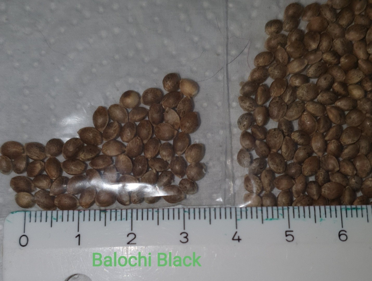 Screenshot_20250822-182803_Gallery.jpg