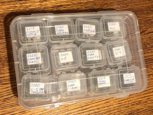 Seeds.png