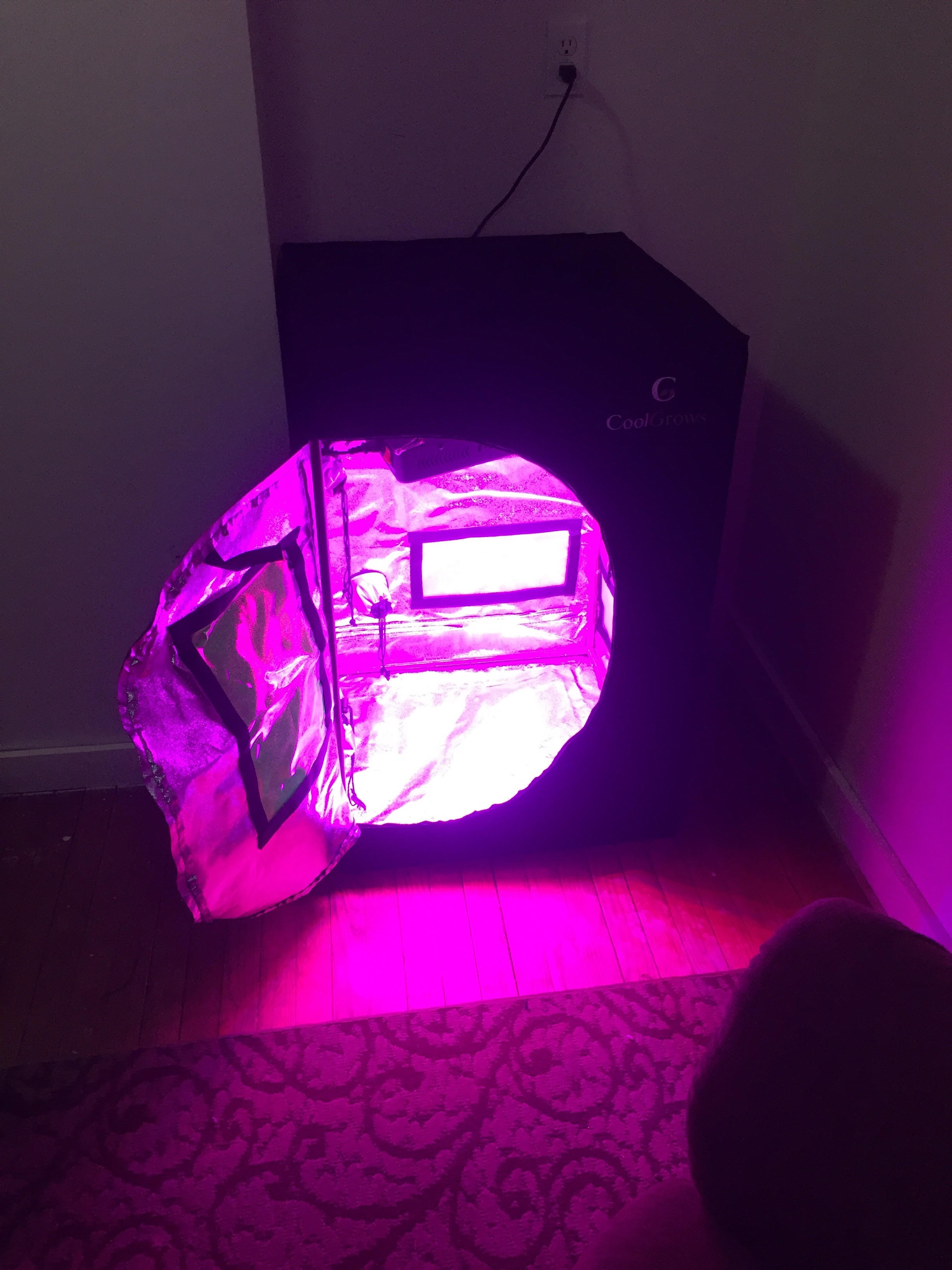 Small tent open.jpg