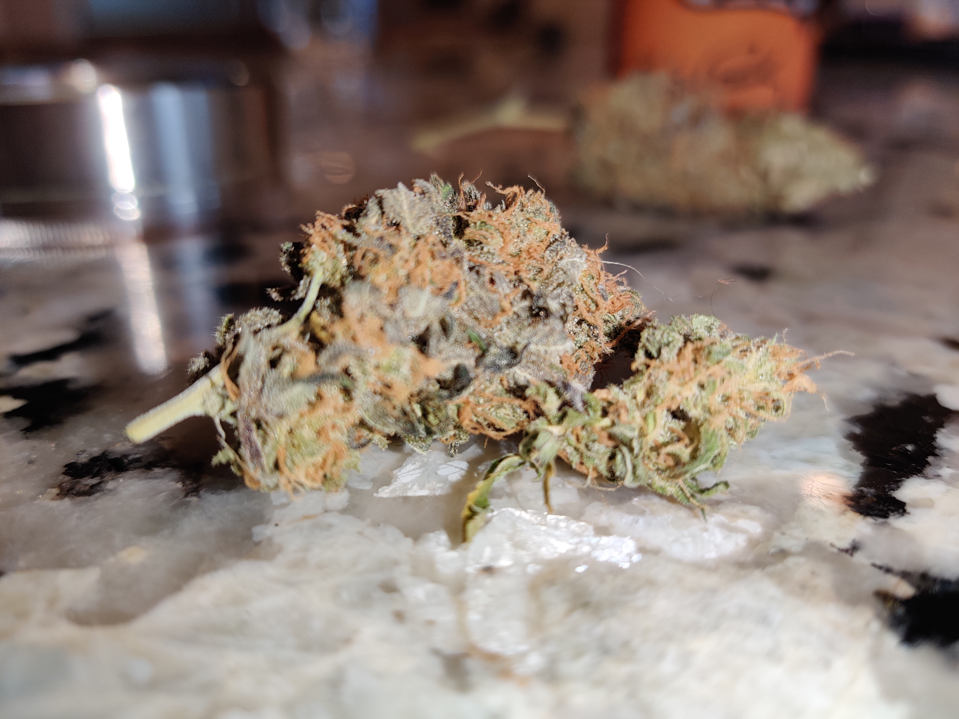 SSHnug.jpg