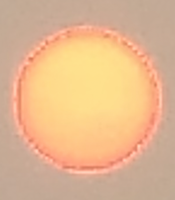 Sun 1.png