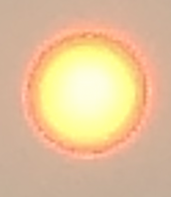 Sun 2.png
