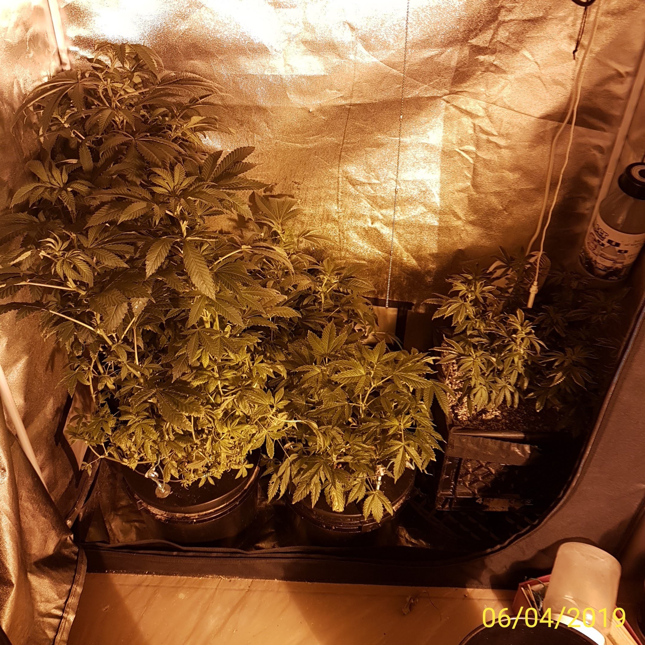 TENT.IMG_20190406_160107.jpg