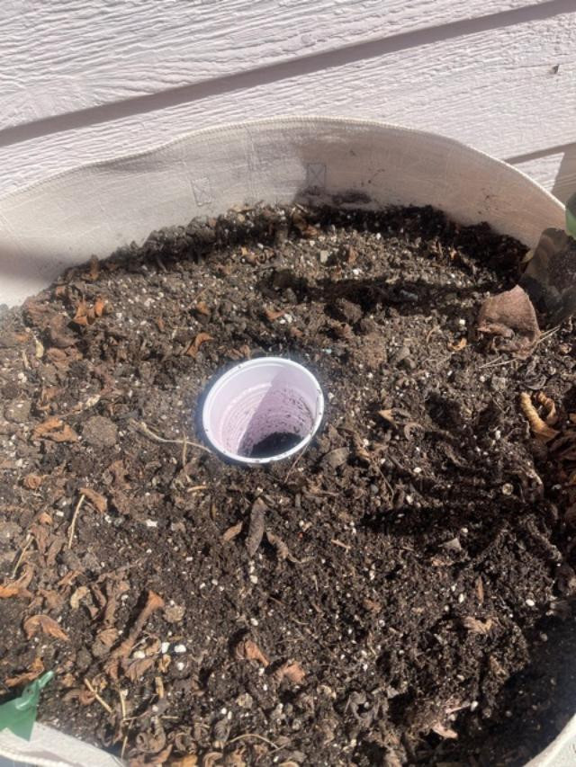 Transplant Hack.jpg