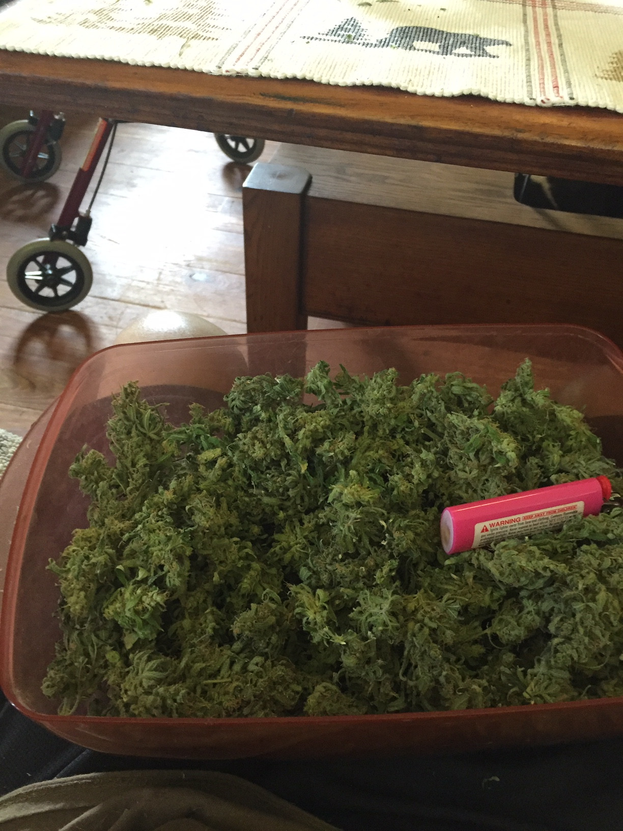 tray of Bubblegum.JPG