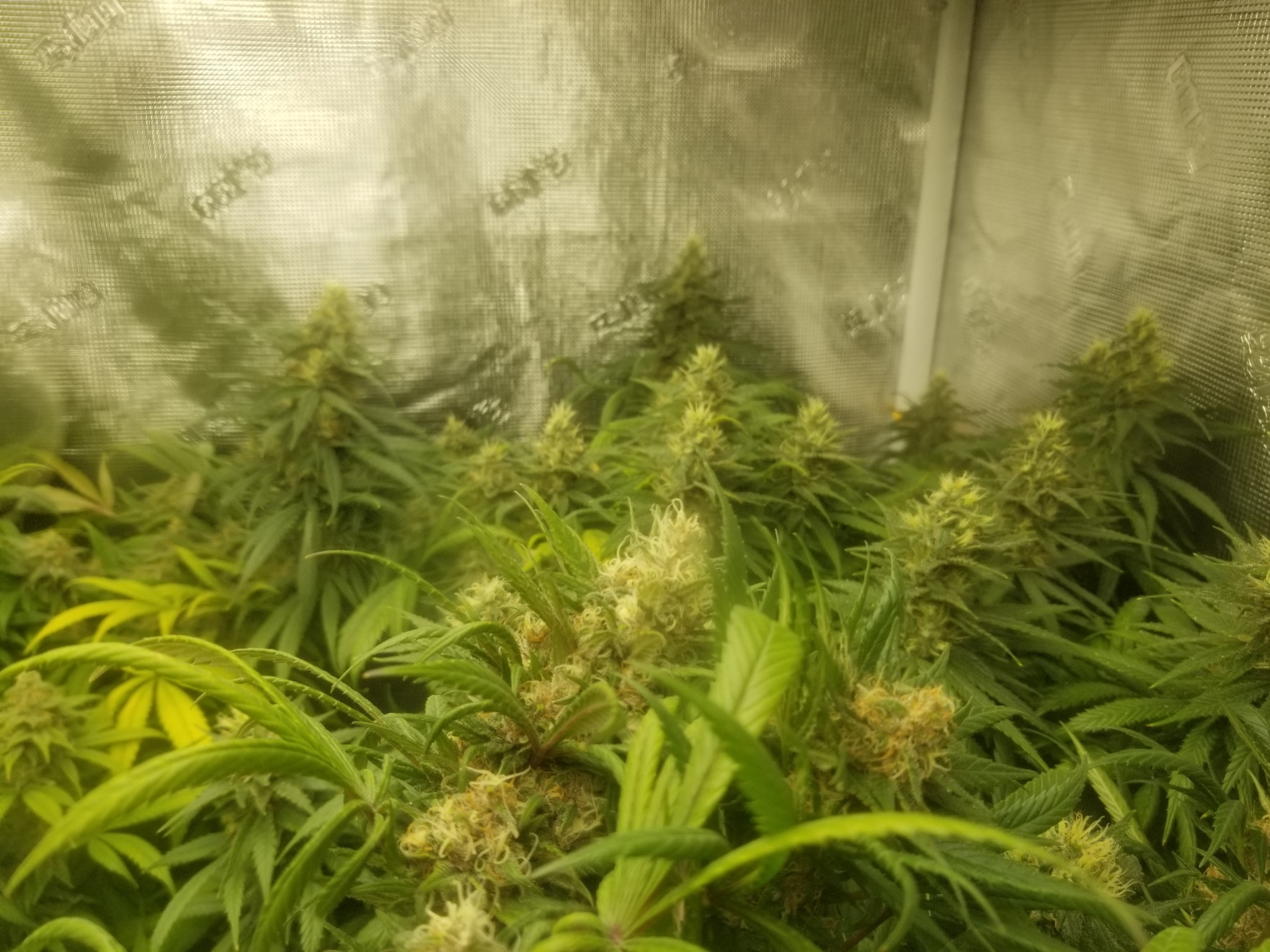 Week 7 pic 3.jpg