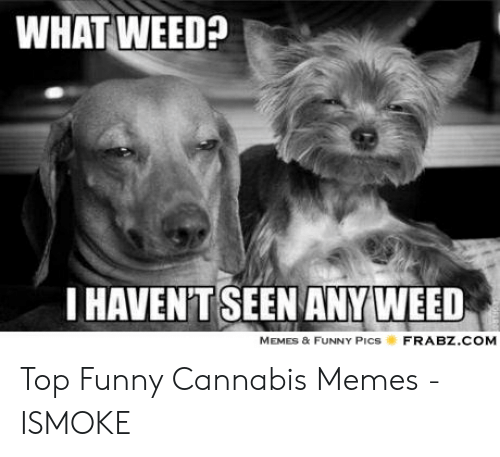 what-weed-.png