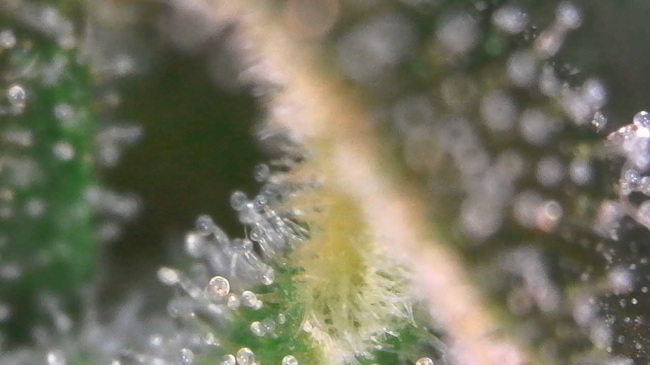 WIN_20211208_19_38_24_Pro.jpg
