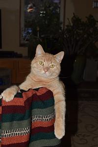 Click image for larger version

Name:	DSC_0389.JPG
Views:	204
Size:	5.72 MB
ID:	58541