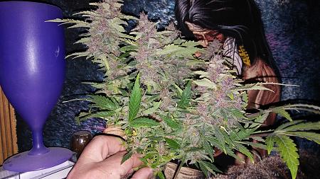 Click image for larger version

Name:	20170314_083159.jpg
Views:	231
Size:	6.25 MB
ID:	67752