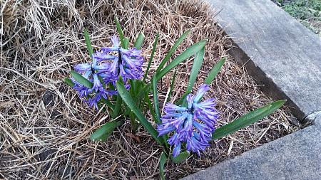 Click image for larger version

Name:	20180328_113214.jpg
Views:	198
Size:	3.60 MB
ID:	191340