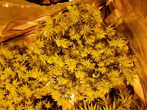 Click image for larger version

Name:	20181104_134902.jpg
Views:	243
Size:	3.89 MB
ID:	264757