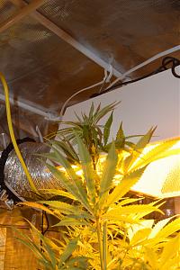 Click image for larger version

Name:	DSC_0128.jpg
Views:	192
Size:	6.93 MB
ID:	57344