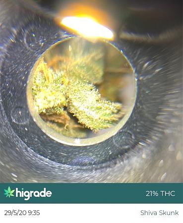 Click image for larger version

Name:	Higrade 1.JPG
Views:	1183
Size:	138.1 KB
ID:	411218