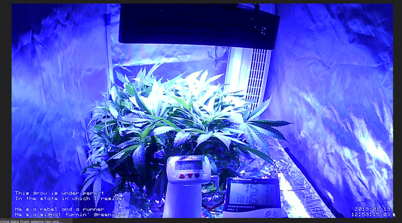 Click image for larger version

Name:	Screenshot_20190119_125932.png
Views:	539
Size:	1.37 MB
ID:	285136