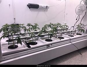 Click image for larger version

Name:	IMG_8730.jpg
Views:	165
Size:	83.4 KB
ID:	222198