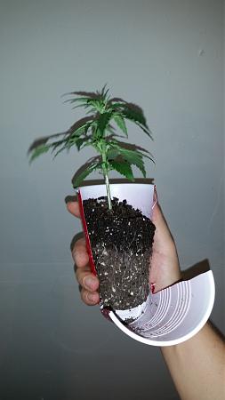 Click image for larger version  Name:	20200112_173745.jpg Views:	61 Size:	2.40 MB ID:	365770