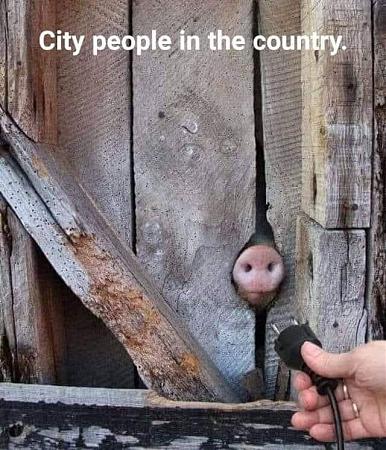 Click image for larger version

Name:	city people.jpg
Views:	567
Size:	131.3 KB
ID:	412533
