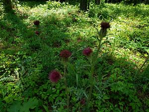 Click image for larger version

Name:	20190514_124334.jpg
Views:	316
Size:	5.16 MB
ID:	369708