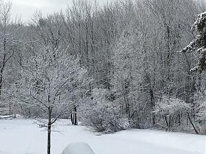 Click image for larger version

Name:	IMG_2241.JPG
Views:	467
Size:	2.34 MB
ID:	390219