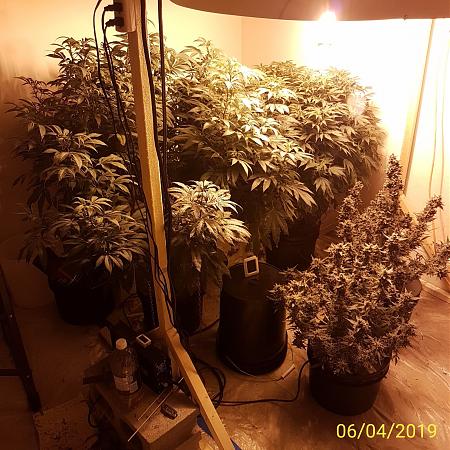 Click image for larger version

Name:	flower.gang.jpg
Views:	386
Size:	1.05 MB
ID:	303356