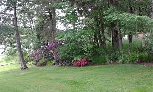 Click image for larger version

Name:	20200518_152224.jpg
Views:	331
Size:	1.29 MB
ID:	406247