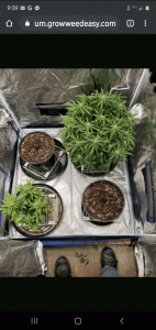Click image for larger version

Name:	GIF-200610_094406.gif
Views:	372
Size:	1.41 MB
ID:	415375