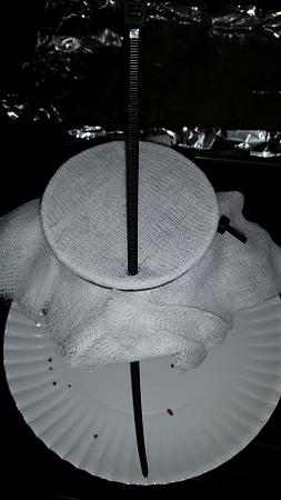 Click image for larger version

Name:	Solo build 9.jpg
Views:	4866
Size:	623.2 KB
ID:	393872