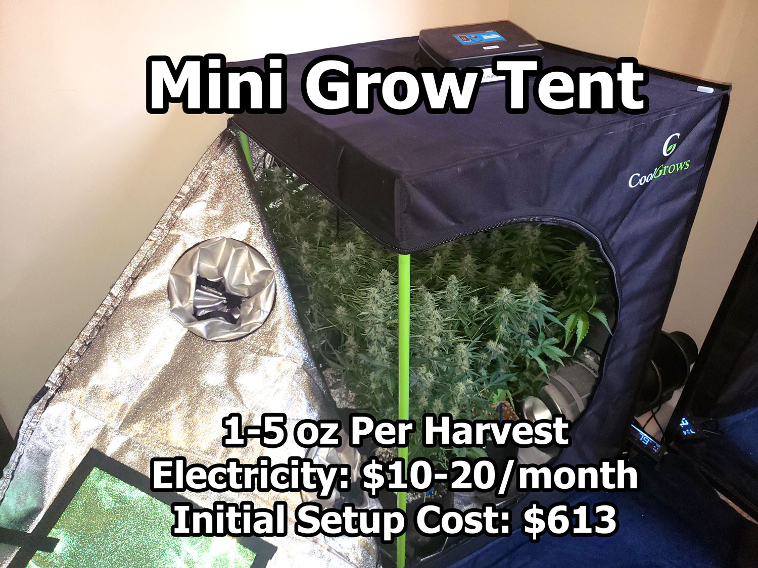 Click image for larger version  Name:	mini-grow-tent-led-setup-example-with-expected-cost-and-yields.jpg Views:	0 Size:	502.4 KB ID:	383036