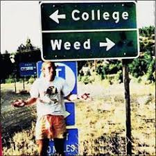 Click image for larger version

Name:	weed.jpg
Views:	641
Size:	28.0 KB
ID:	417595