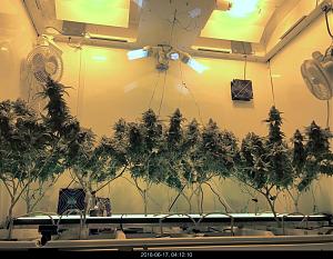 Click image for larger version

Name:	IMG_8576.jpg
Views:	410
Size:	344.5 KB
ID:	215727