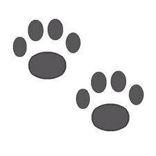 Click image for larger version  Name:	some paws.jpg Views:	1 Size:	5.9 KB ID:	332314