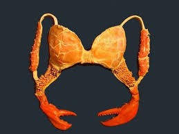 Click image for larger version  Name:	crab bra.jpg Views:	1 Size:	10.7 KB ID:	332315