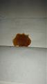 Click image for larger version

Name:	Qwiso Shatter.jpg
Views:	191
Size:	423.5 KB
ID:	397481