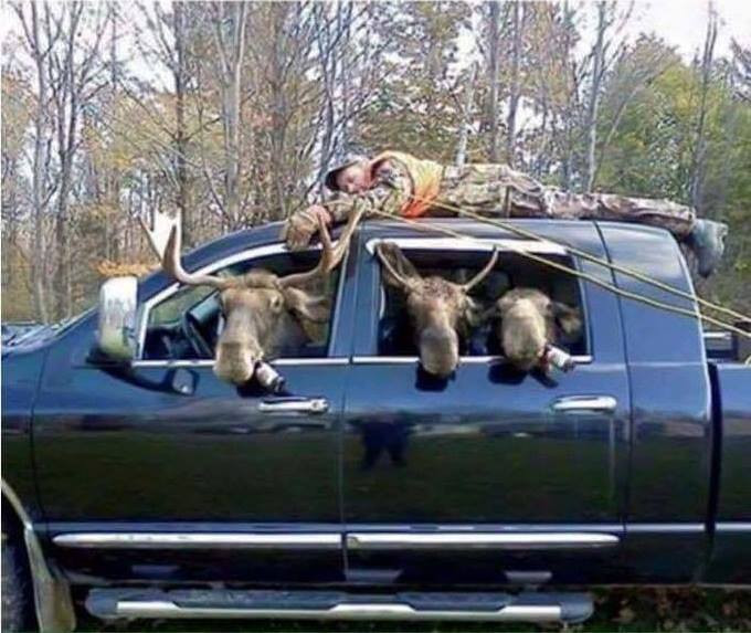 Click image for larger version

Name:	moose hunting.jpg
Views:	922
Size:	108.9 KB
ID:	361146