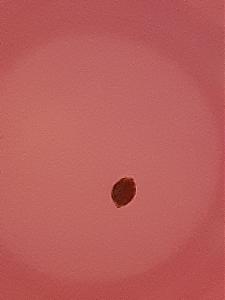 Click image for larger version

Name:	20200627_000317.jpg
Views:	548
Size:	900.5 KB
ID:	421800