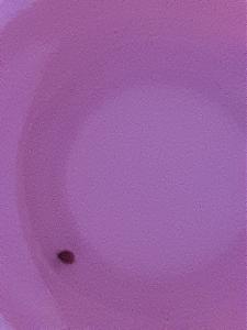 Click image for larger version

Name:	20200627_001331.jpg
Views:	558
Size:	804.9 KB
ID:	421802