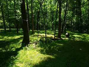 Click image for larger version

Name:	20190514_121730.jpg
Views:	320
Size:	5.37 MB
ID:	369709