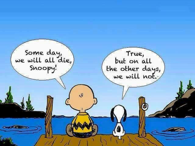 Click image for larger version

Name:	zen of snoopy.jpg
Views:	491
Size:	63.0 KB
ID:	423599