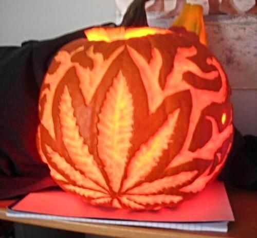 Click image for larger version

Name:	Pumpkin Carving.jpg
Views:	61
Size:	40.8 KB
ID:	140980