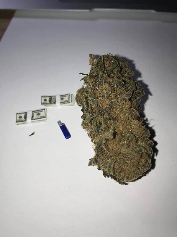 Click image for larger version

Name:	biggest bud.JPG
Views:	245
Size:	1.43 MB
ID:	303571