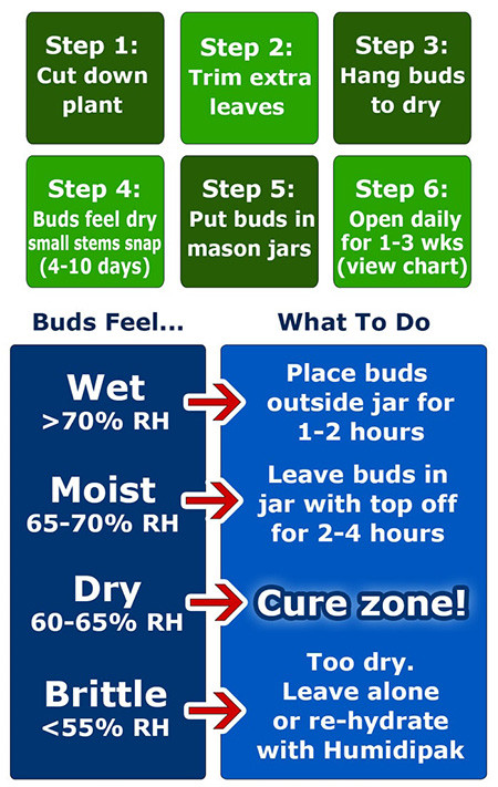 Click image for larger version

Name:	cure.jpg
Views:	2199
Size:	146.0 KB
ID:	403648