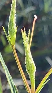 Click image for larger version

Name:	IMG_3964.JPG
Views:	423
Size:	352.0 KB
ID:	430936