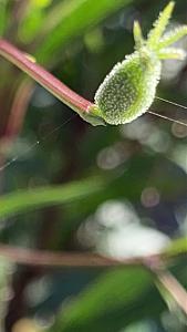Click image for larger version

Name:	IMG_3965.JPG
Views:	412
Size:	294.9 KB
ID:	430937